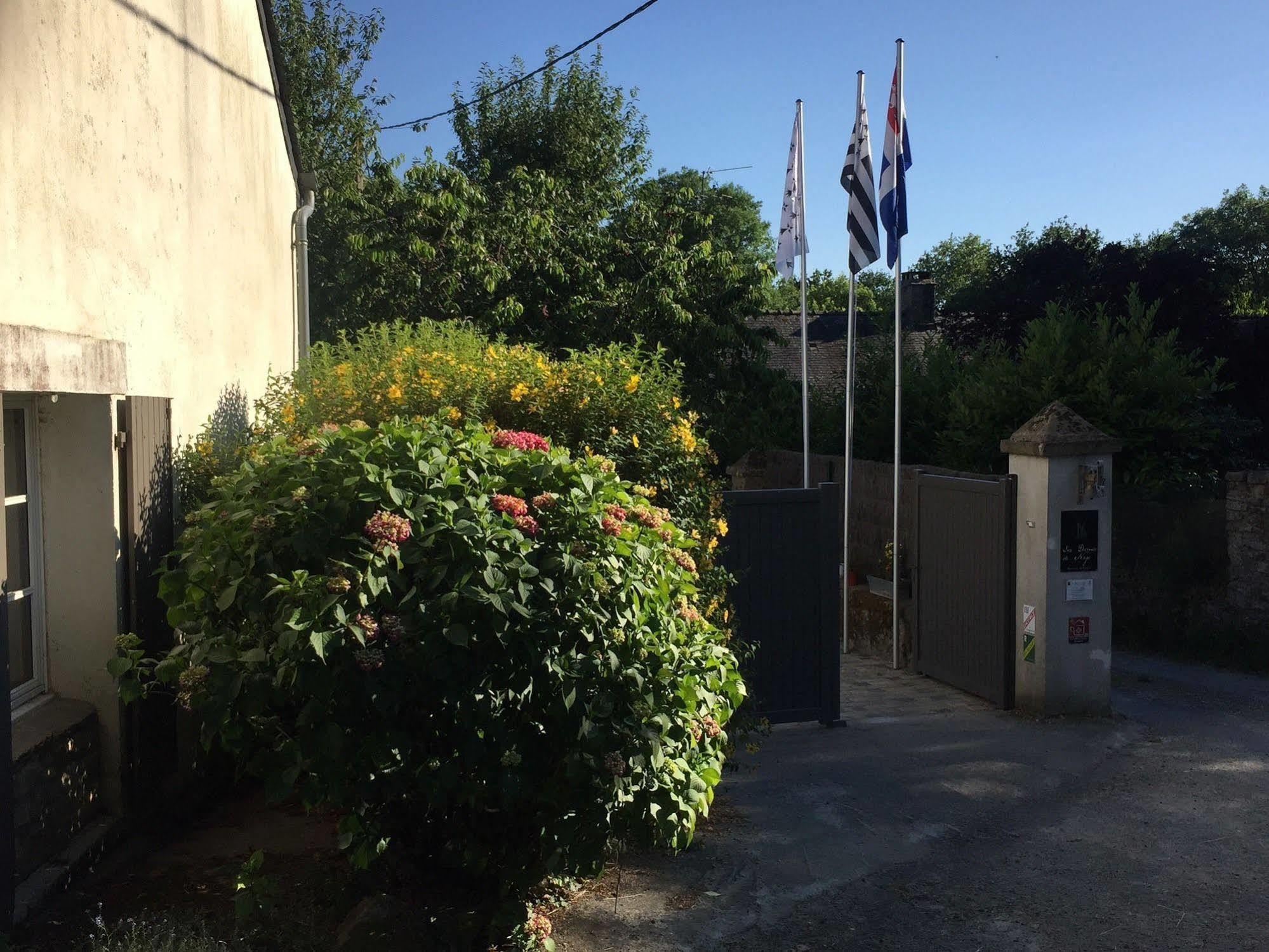 Bed and Breakfast Les Dames de Nage Grand-Champ Exterior foto